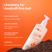 Plum Goodness Volcanic Minerals & 0.5% Salicylic Acid Shampoo For Dandruff-Prone Hair | 250 ml