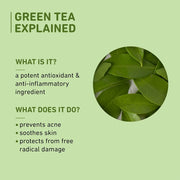 Plum Goodness Green Tea Mattifying Moisturizer for Oily & Acne-Prone Skin