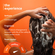 Plum Goodness Volcanic Minerals & 0.5% Salicylic Acid Shampoo For Dandruff-Prone Hair | 250 ml