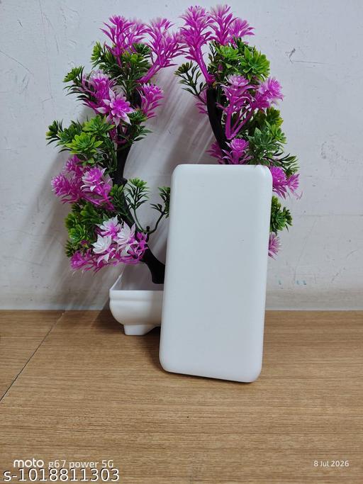 10000 mAh Fast Charging  with Dual USB Output and Type-C Input