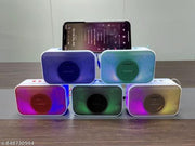 Wireless Bluetooth Portable Speaker with Supporting Carry Handle, USB, SD Card, AUX, FM & Call