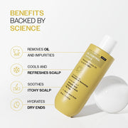 Bare Anatomy Oil Control Shampoo | Sulphate & Paraben Free | Reduces Excess Oil by Up to 100% | Salicylic Acid + Hyaluronic Acid + Tea Tree | Suitable for Oily Scalp & Dry Ends | For Women & Men |