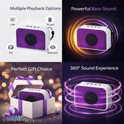 DPM Portable Bluetooth Speaker with Karaoke Mic Feature Wireless Audio System for Party