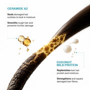 Bare Anatomy Damage Repair Hair Shampoo | Provides 10x Strengthening Powered By Ceramide A2 & Coconut Milk Protein | For Damaged, Dry & Frizzy Hair | Sulphate & Paraben Free | For Women & Men |