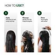 Bare Anatomy Anti-Dandruff Shampoo | Up To 100% Dandruff Reduction | ZPTO-Free | pH 5.3 | Salicylic Acid, Piroctone Olamine, Biotin & Menthol | Non-Drying Formula | Suitable for Men & Women |