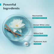 Pilgrim Korean Oil free Gel Moisturizer for oily skin with Hyaluronic Acid & Willow Bark Extracts | Moisturiser for face | Suitable for Oily & Acne-Prone Skin| Men & Women | Korean Skin Care | 50g