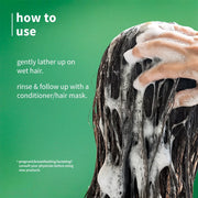 Plum Goodness Avocado & Argan Frizz Control Shampoo