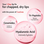 Chemist At Play Cherry Lip Balm for Chapped Lips | SPF 50 PA++++ | Cherry - 4.5 gm