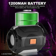 AO-005 10 W Bluetooth Speaker
