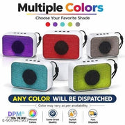 DPM Portable Bluetooth Speaker with Karaoke Function Wireless Microphone for Music Playback