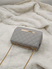 Elegant Fancy Women Slingbags