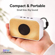 DPM Wireless Bluetooth Karaoke Audio Speaker with Microphone for Party and Music Playback