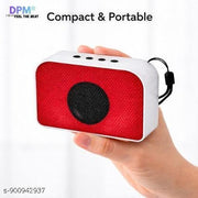 DPM Wireless Karaoke Sound Speaker with Bluetooth and Mic for Music Playback and Entertainment