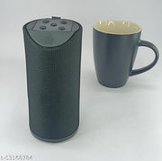 Ast-311 BT Speaker