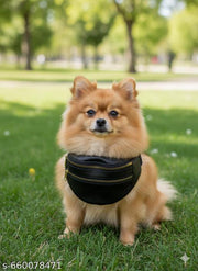 Waist Bag Large Crossbody Fanny Pack for Men & Women Waist Bag