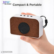 DPM Bluetooth Speaker with Karaoke Function Wireless Microphone for Indoor and Outdoor Entertainment